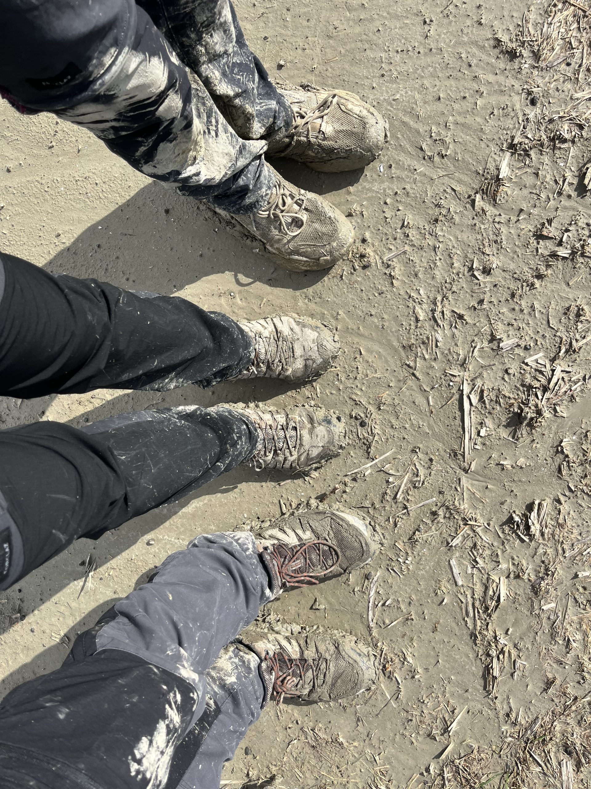 Galerie 4 – Reise/Methodik